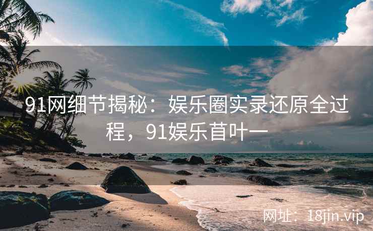 91网细节揭秘：娱乐圈实录还原全过程，91娱乐苜叶一