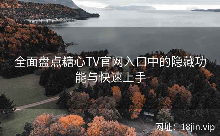 全面盘点糖心TV官网入口中的隐藏功能与快速上手
