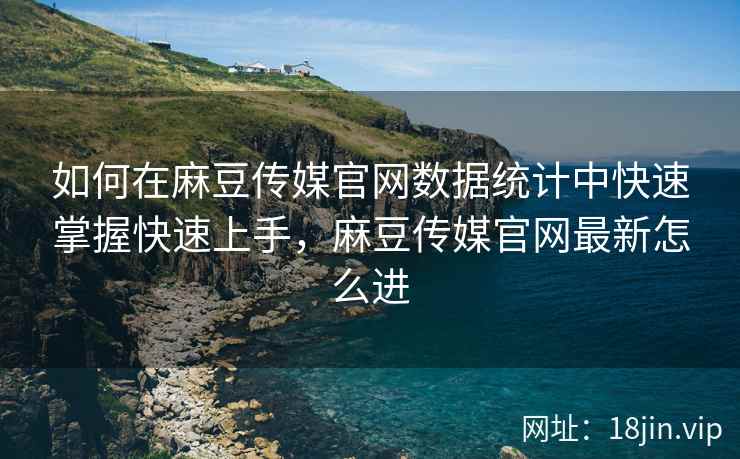 如何在麻豆传媒官网数据统计中快速掌握快速上手，麻豆传媒官网最新怎么进