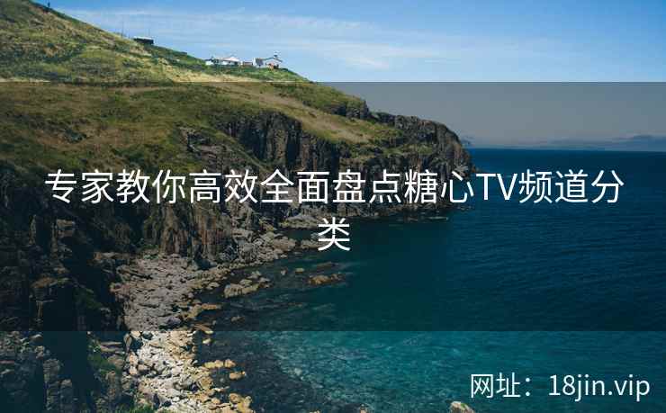 专家教你高效全面盘点糖心TV频道分类